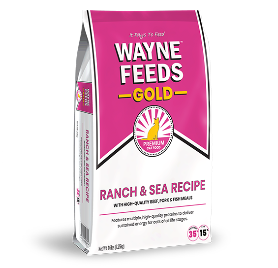 Ranch & Sea Recipe Bag