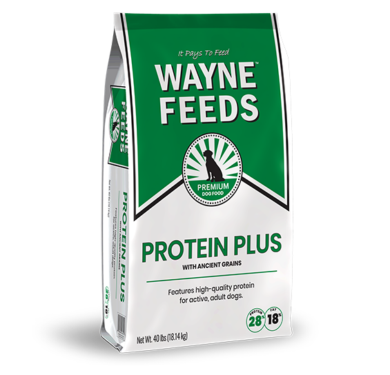 Protein Plus Bag